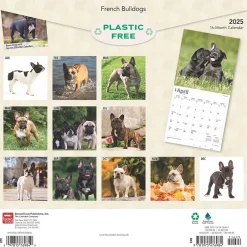 BrownTrout 2025 French Bulldogs 12" x 12" Monthly Square Wall Calendar (9781975476984) Clearance