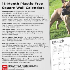 BrownTrout 2025 French Bulldogs 12