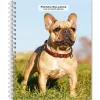 BrownTrout 2025 French Bulldogs 6" x 7.75" Weekly Engagement Planner, Paper Cover, Multicolored (9781975483159) Hot