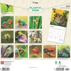 BrownTrout 2025 Frogs 12" x 24" Monthly Square Wall Calendar (9781975476991) Sale