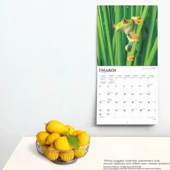 BrownTrout 2025 Frogs 12