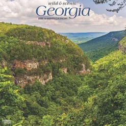 BrownTrout 2025 Georgia Wild & Scenic 12" x 12" Monthly Square Wall Calendar (9781975474836) Outlet