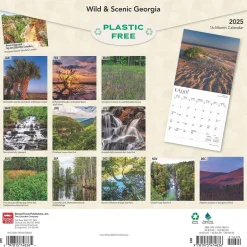 BrownTrout 2025 Georgia Wild & Scenic 12" x 12" Monthly Square Wall Calendar (9781975474836) Outlet