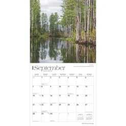 BrownTrout 2025 Georgia Wild & Scenic 12