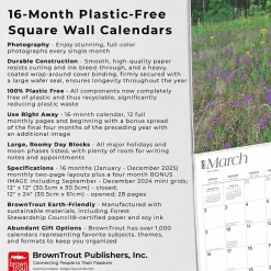 BrownTrout 2025 Georgia Wild & Scenic 12