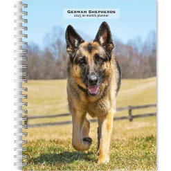 BrownTrout 2025 German Shepherds 6" x 7.75" Weekly Engagement Planner, Paper Cover, Multicolored (9781975473143) Best