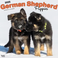 BrownTrout 2025 German Shepherd Puppies 12" x 12" Monthly Square Wall Calendar (9781975477004) Outlet