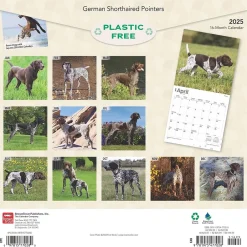 BrownTrout 2025 German Shorthaired Pointers 12" x 12" Monthly Square Wall Calendar (9781975477028) Discount