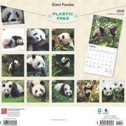 BrownTrout 2025 Giant Pandas 12" x 12" Monthly Wall Calendar (9781975474843) Clearance