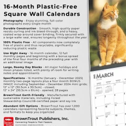 BrownTrout 2025 Ginger Cats 12