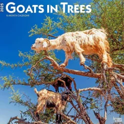 BrownTrout 2025 Goats in Trees 12" x 12" Monthly Square Wall Calendar (9781975477059) Sale