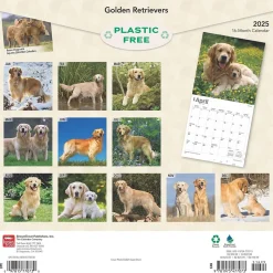 BrownTrout 2025 Golden Retrievers 12" x 12" Monthly Square Wall Calendar (9781975477073) Best