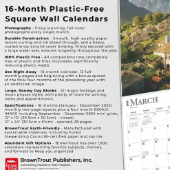 BrownTrout 2025 Greece 12