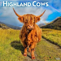 BrownTrout 2025 Highland Cows 12" x 12" Monthly Square Wall Calendar (9781975478377) Sale