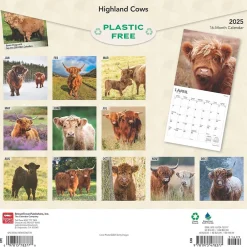 BrownTrout 2025 Highland Cows 12" x 12" Monthly Square Wall Calendar (9781975478377) Sale