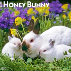 BrownTrout 2025 Honey Bunny 12" x 12" Monthly Wall Calendar (9781975474911)