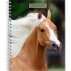 BrownTrout 2025 Horse Lovers 6" x 7.75" Weekly Engagement Planner, Paper Cover, Multicolored (9781975473273) Discount