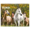 BrownTrout 2025 Horse Lovers 7.5" x 6" Monthly Desk Calendar (9781975478476)