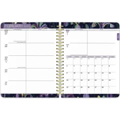 BrownTrout 2025 House of Turnowsky 6