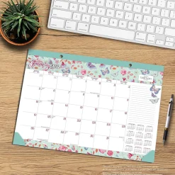 BrownTrout 2025 House of Turnowsky 17