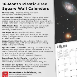 BrownTrout 2025 Hubble Space Telescope 12