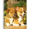 BrownTrout 2025 I Love Puppies 6" x 7.75" Weekly Engagement Planner, Paper Cover, Multicolored (9781975480639) Discount