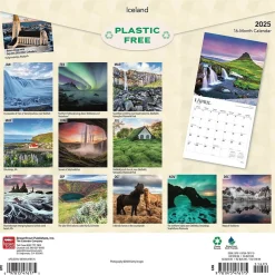 BrownTrout 2025 Iceland 12" x 12" Monthly Wall Calendar (9781975476175) Sale