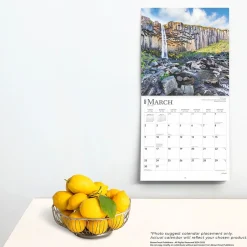 BrownTrout 2025 Iceland 12