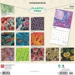 BrownTrout 2025 Innerspace 12" x 12" Monthly Square Wall Calendar (9781975481438) Best