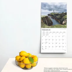 BrownTrout 2025 Ireland 12