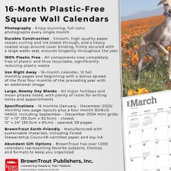 BrownTrout 2025 Italian Greyhounds 12