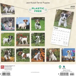 BrownTrout 2025 Jack Russell Terrier Puppies 12" x 12" Monthly Wall Calendar (9781975477226) Online