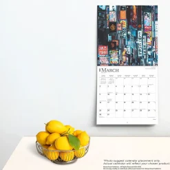 BrownTrout 2025 Japan 12