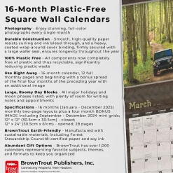 BrownTrout 2025 Jeep 12