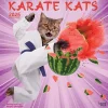 BrownTrout 2025 Karate Cats 12" x 24" Monthly Square Wall Calendar, (9781975479831) Online