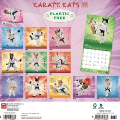 BrownTrout 2025 Karate Cats 12" x 24" Monthly Square Wall Calendar, (9781975479831) Online