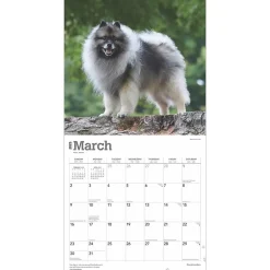 BrownTrout 2025 Keeshonden 12