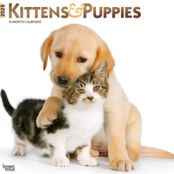BrownTrout 2025 Kittens & Puppies 12" x 12" Monthly Wall Calendar (9781975477271) Discount