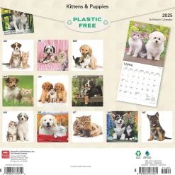 BrownTrout 2025 Kittens & Puppies 12" x 12" Monthly Wall Calendar (9781975477271) Discount