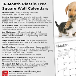 BrownTrout 2025 Kittens & Puppies 12