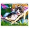 BrownTrout 2025 Kittens 7.5" x 6" Monthly Desk Calendar (9781975481629) Online
