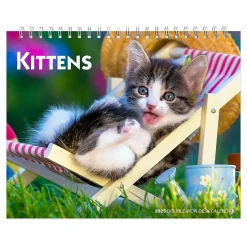 BrownTrout 2025 Kittens 7.5" x 6" Monthly Desk Calendar (9781975481629) Online