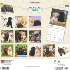 BrownTrout 2025 Labrador Retriever Puppies 12" x 12" Monthly Wall Calendar (9781975477301) Clearance