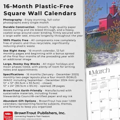 BrownTrout 2025 Lake Michigan 12