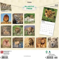 BrownTrout 2025 Lions 12" x 12" Monthly Wall Calendar (9781975476458) Best