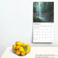 BrownTrout 2025 Magic Places 12