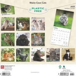 BrownTrout 2025 Maine Coon Cats 12" x 24" Monthly Square Wall Calendar, (9781975477387) Discount