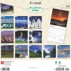 BrownTrout 2025 Moonstruck 12" x 24" Monthly Square Wall Calendar (9781975477455) Best