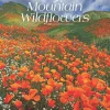 BrownTrout 2025 Mountain Wildflowers 12" x 12" Monthly Square Wall Calendar (9781975476038) Hot