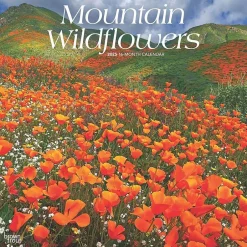 BrownTrout 2025 Mountain Wildflowers 12" x 12" Monthly Square Wall Calendar (9781975476038) Hot